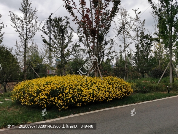 道路綠化景觀
