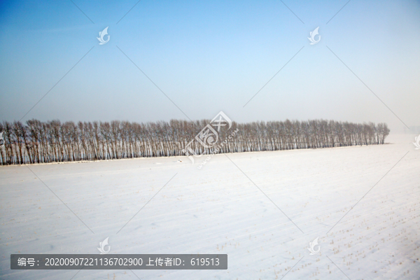 冬季白雪覆蓋的田野
