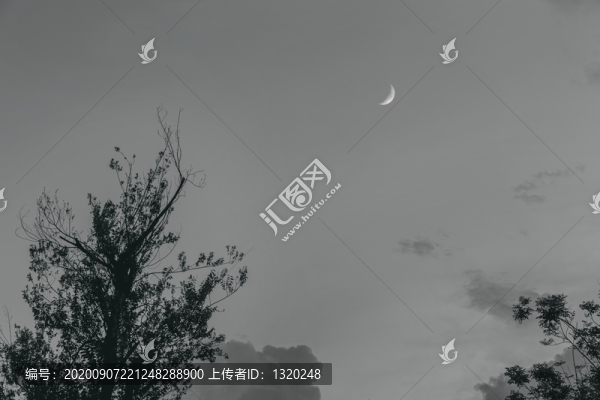 月亮