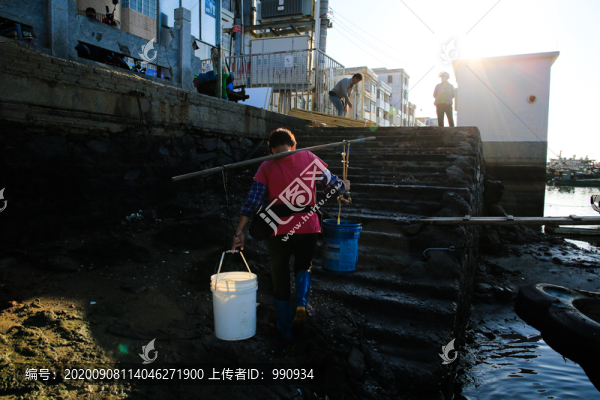 碼頭