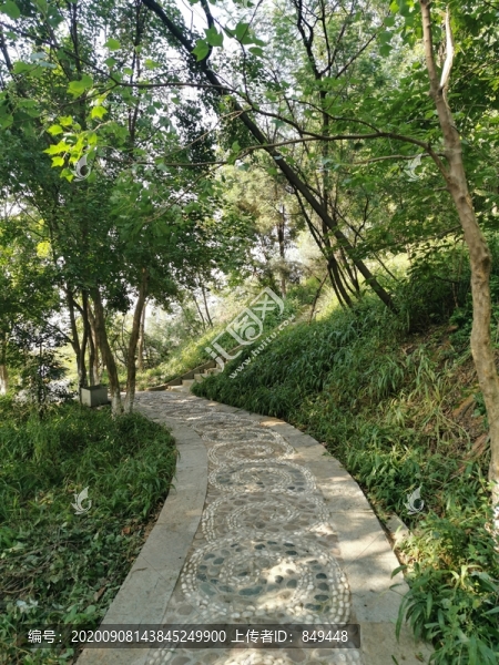 鵝卵石鋪貼的林蔭小道