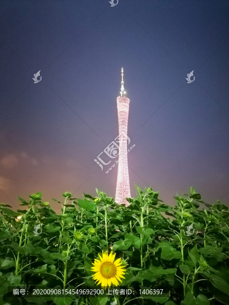廣州地標(biāo)電視塔小蠻腰