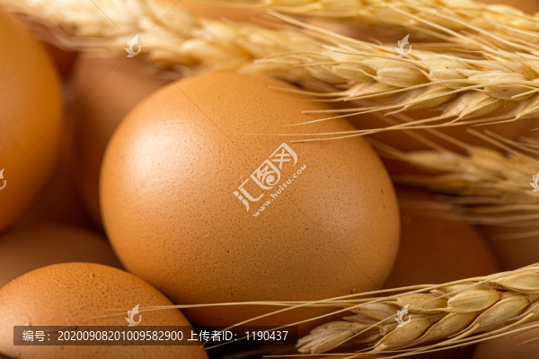雞蛋