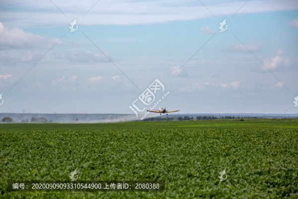 飛機噴藥