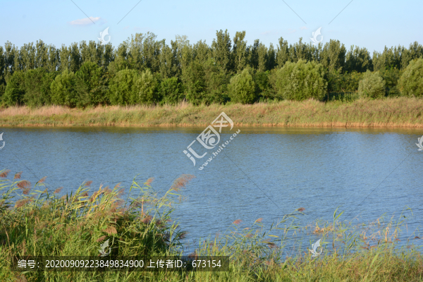 河岸