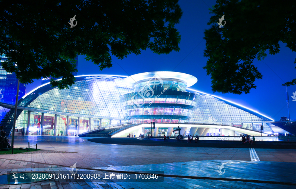 杭州大劇院夜景