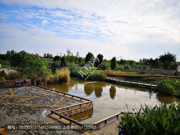 濕地公園