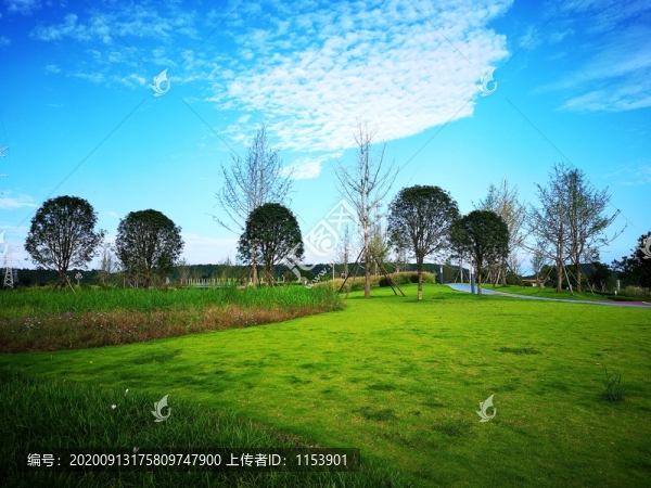 藍(lán)天綠地