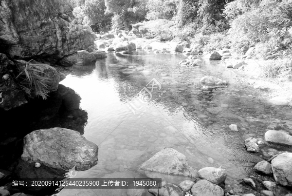 河流溪水黑白照