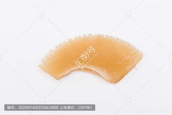 魚翅