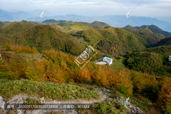 重慶巫山梨子坪森林公園