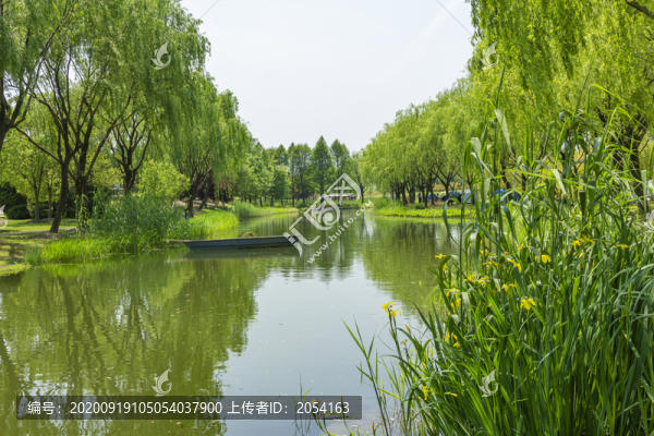 上海辰山植物園花卉展示