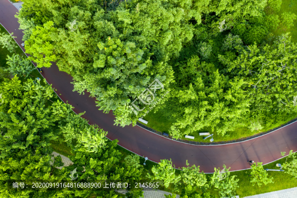 航拍濕地公園里的綠道