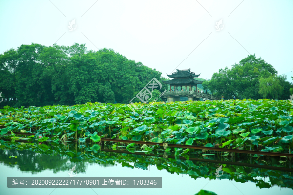 杭州西湖美景