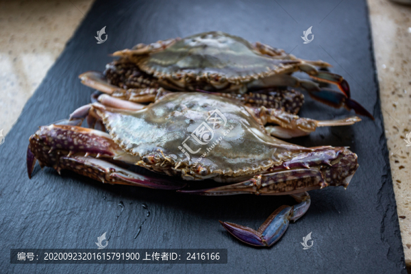 飛蟹