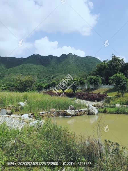 深圳白沙灣