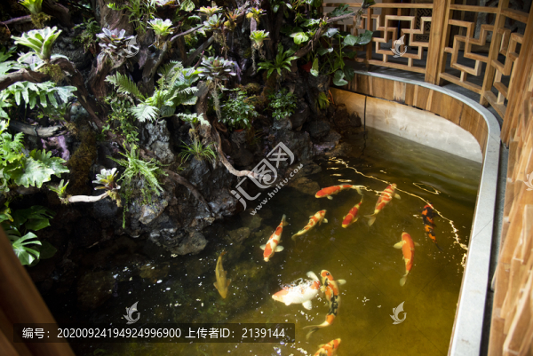 室內(nèi)魚塘