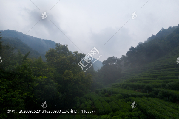 無人機航拍杭州龍井村09