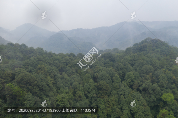 無人機(jī)航拍杭州龍井村18