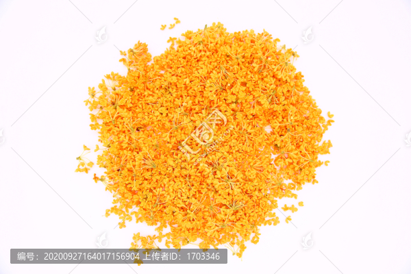 桂花