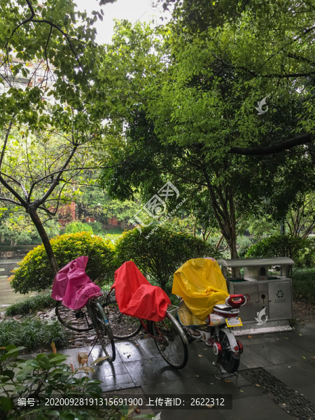 陰雨中的一抹亮色