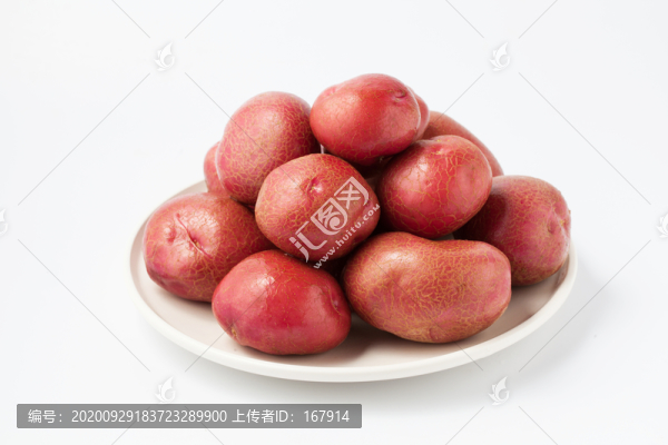 紅土豆
