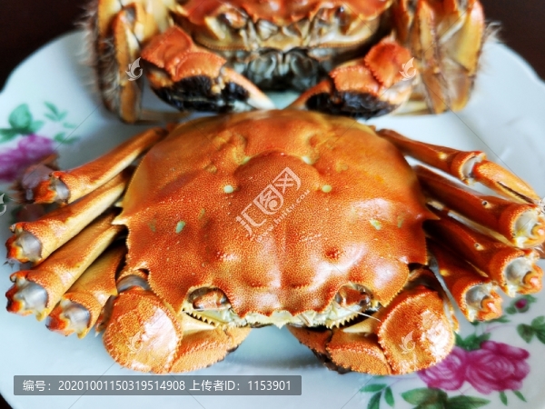 大閘蟹