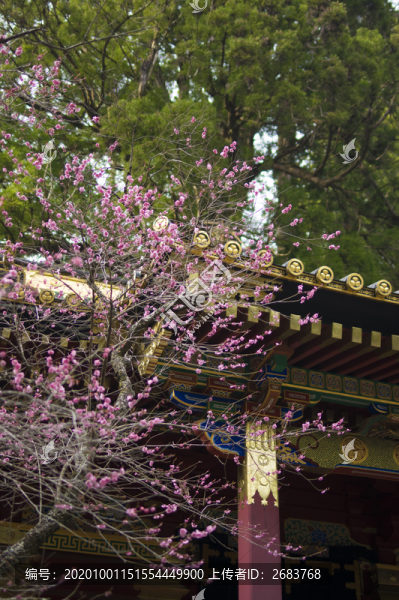 日本寺廟