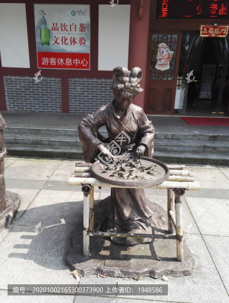 白茶塑像