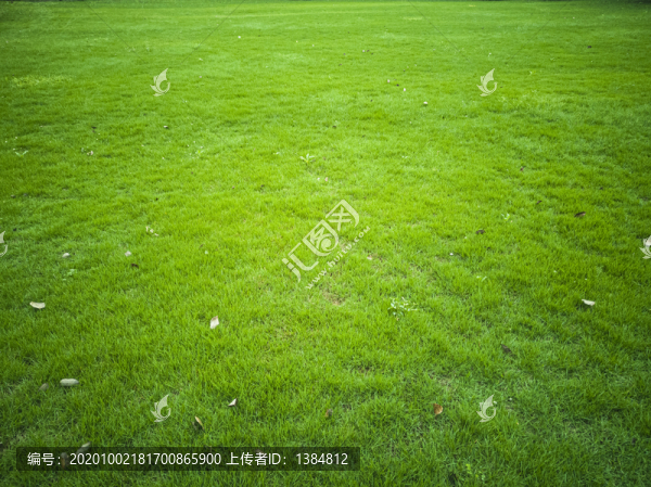 公園綠地