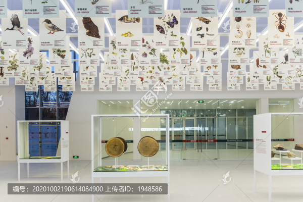 建筑展廳