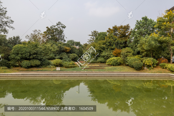 小區(qū)綠化一景