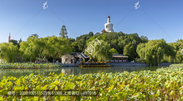 北海公園