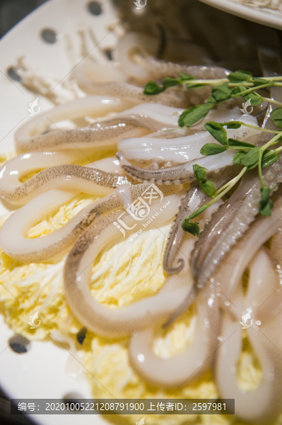 魷魚(yú)