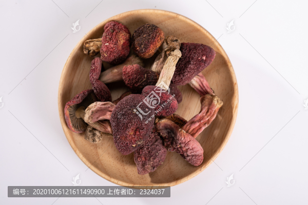 紅菇高清素材拍攝