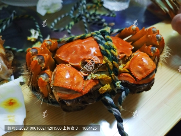 大閘蟹