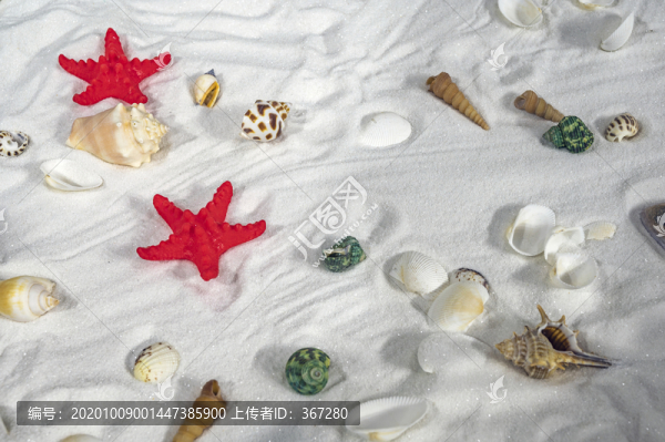 沙灘海螺背景