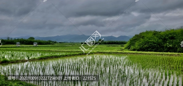 杭州良渚文化村