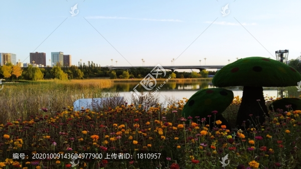 濕地公園