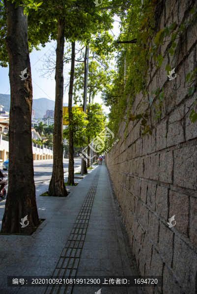 人行林蔭道