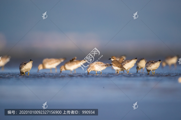 環(huán)境保護