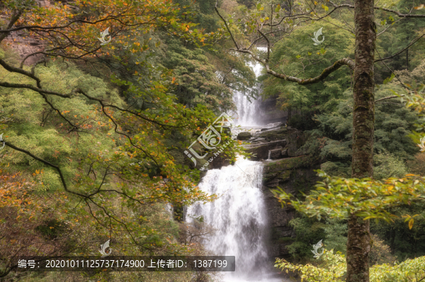 陜西漢中黎坪國(guó)家森林公園風(fēng)光