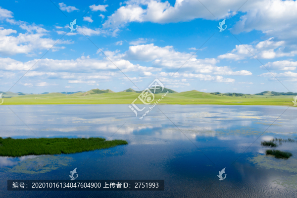 將軍泡子