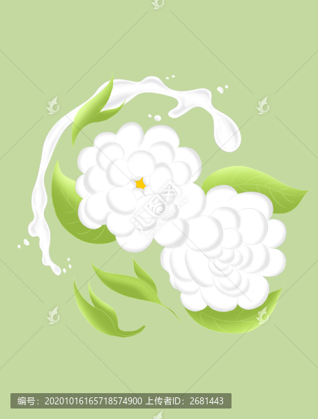 茉莉花茶