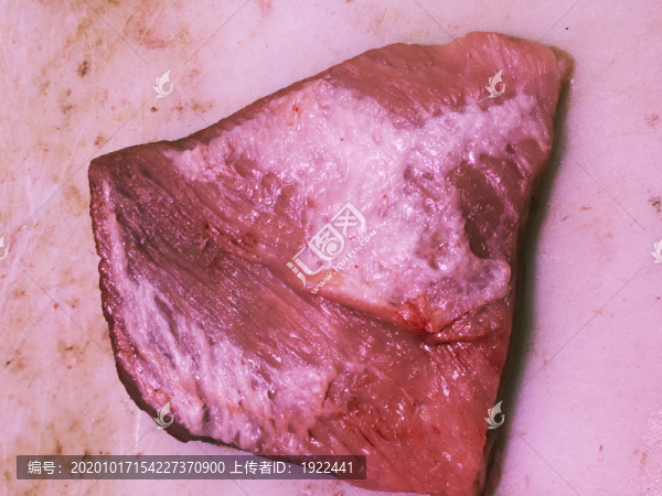 豬肉