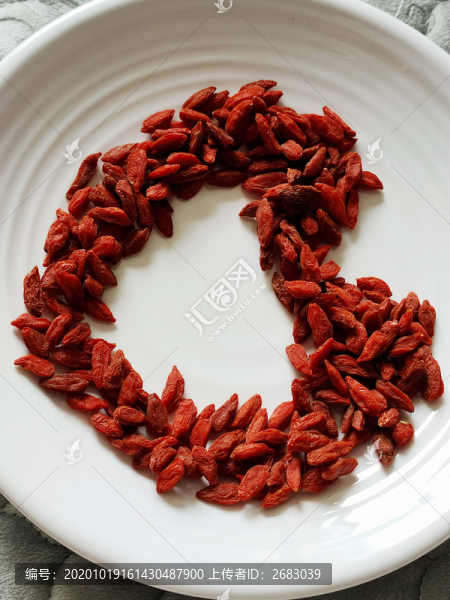 中寧茍杞