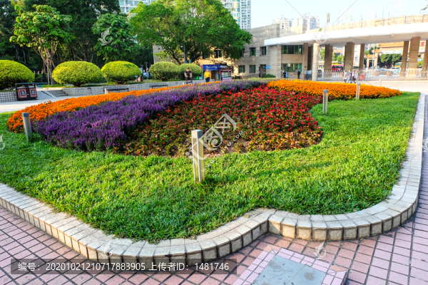 花壇