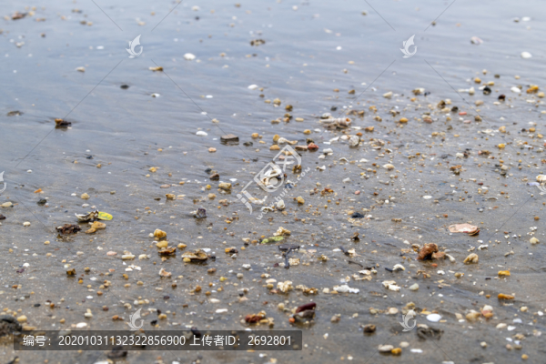 海灘
