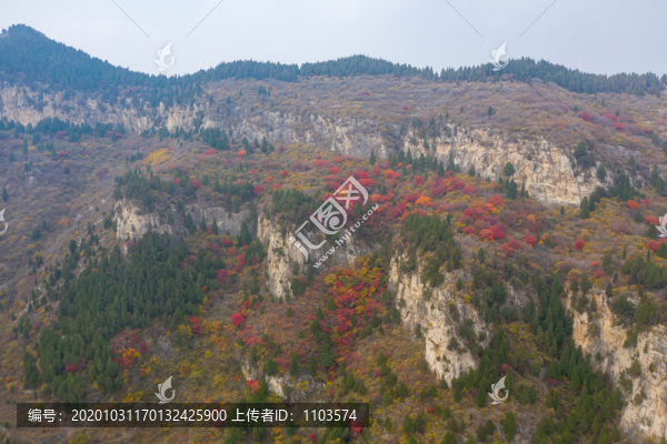 航拍濟(jì)南黑峪紅葉003