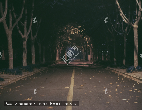 晚上梧桐樹下散步的人